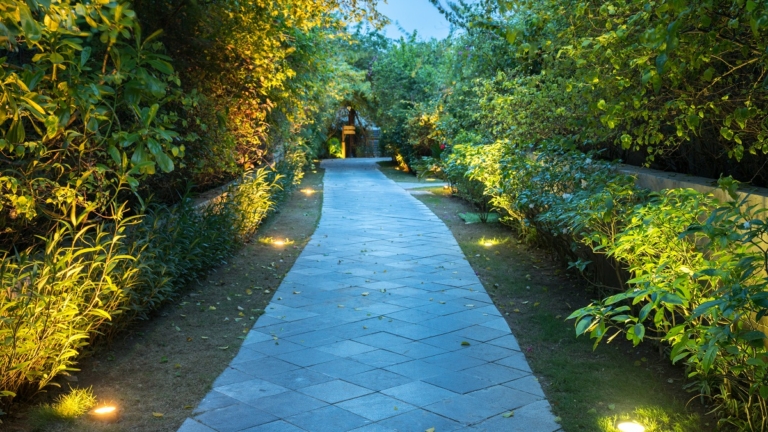 shutterstock_1190730427